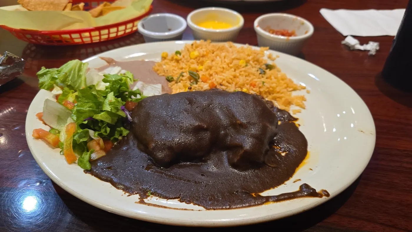 A dark-sauce entrée with rice and salad photographed at El Dorado Restaurant